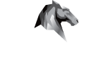 imgi_1_Bayhorse_logo_white_150