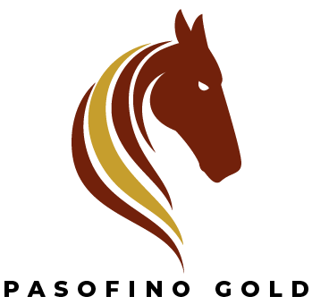 imgi_1_pasofino-logoDec2024