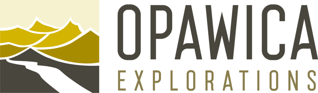 imgi_22_opawica-logo-main-1-1024x302