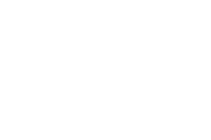 imgi_27_cropped-evolution_logo-300x199