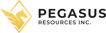 imgi_4_pega_logo_dark