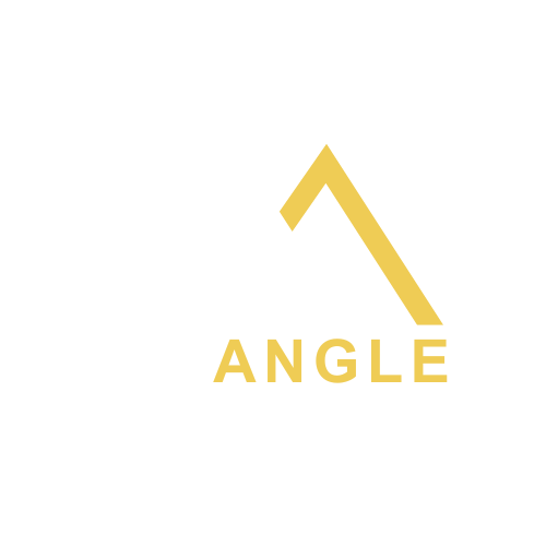 triangle investor