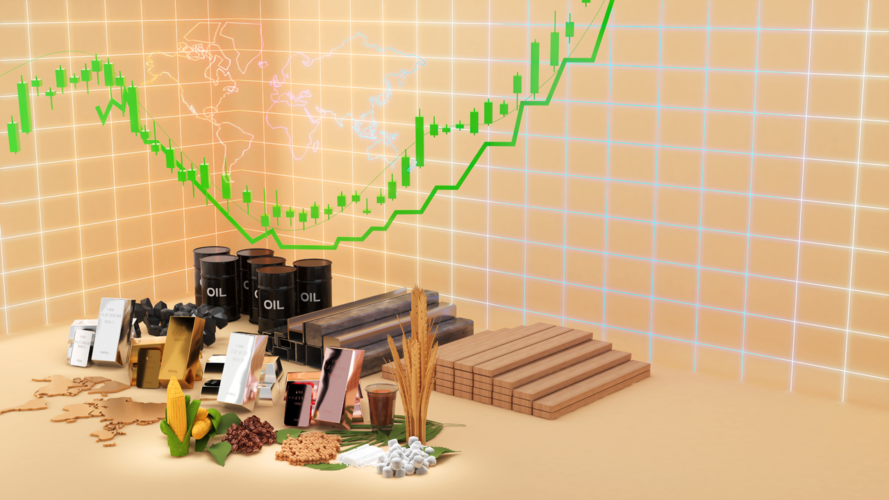 Commodities and Stocks